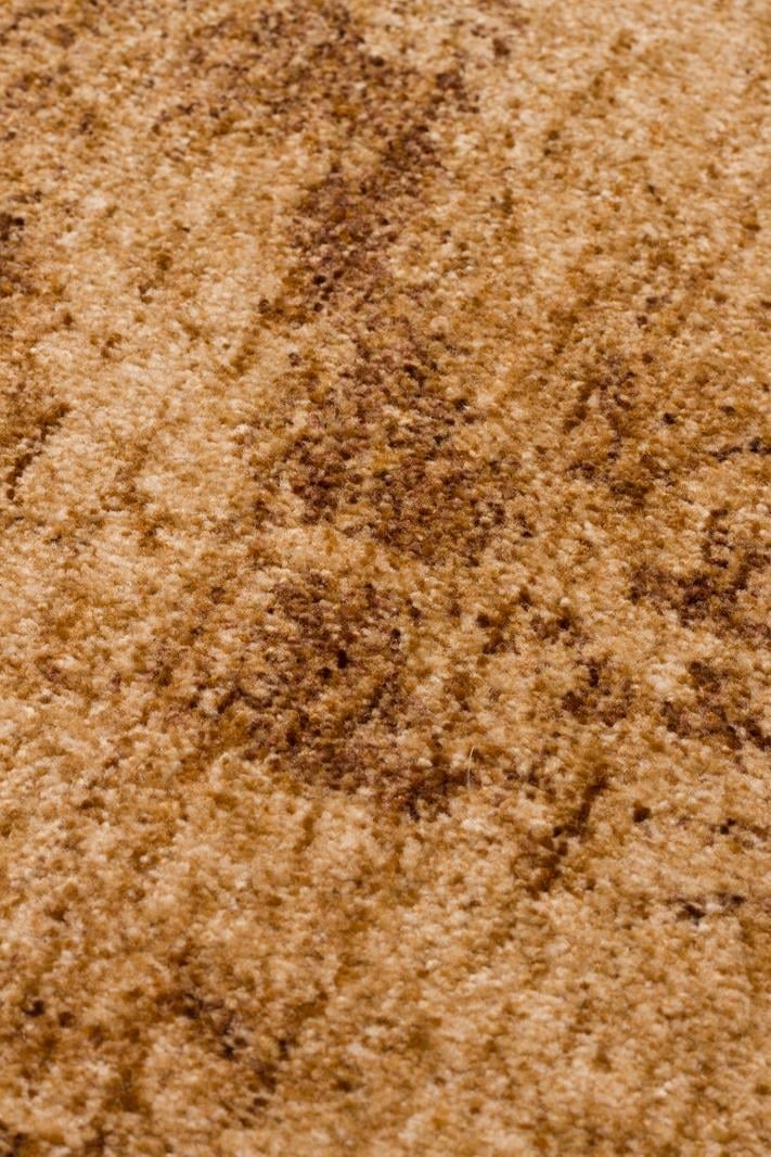 Shiraz Beige SHR01 Desenlere Sahip Vintage Salon Oturma odası Koridor Mutfak Halısı