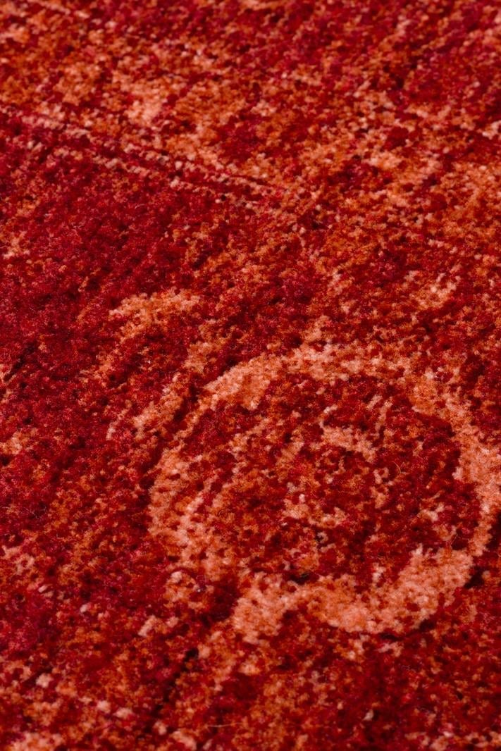 Shiraz Red SHR03 Desenlere Sahip Vintage Salon Oturma odası Koridor Mutfak Halısı
